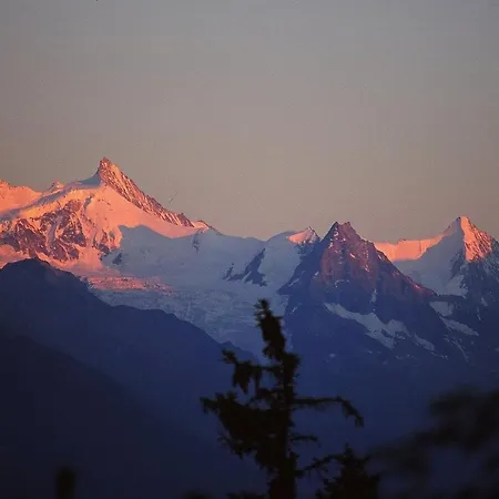 Eglantine With Stunning Views Of The Valais Peaks